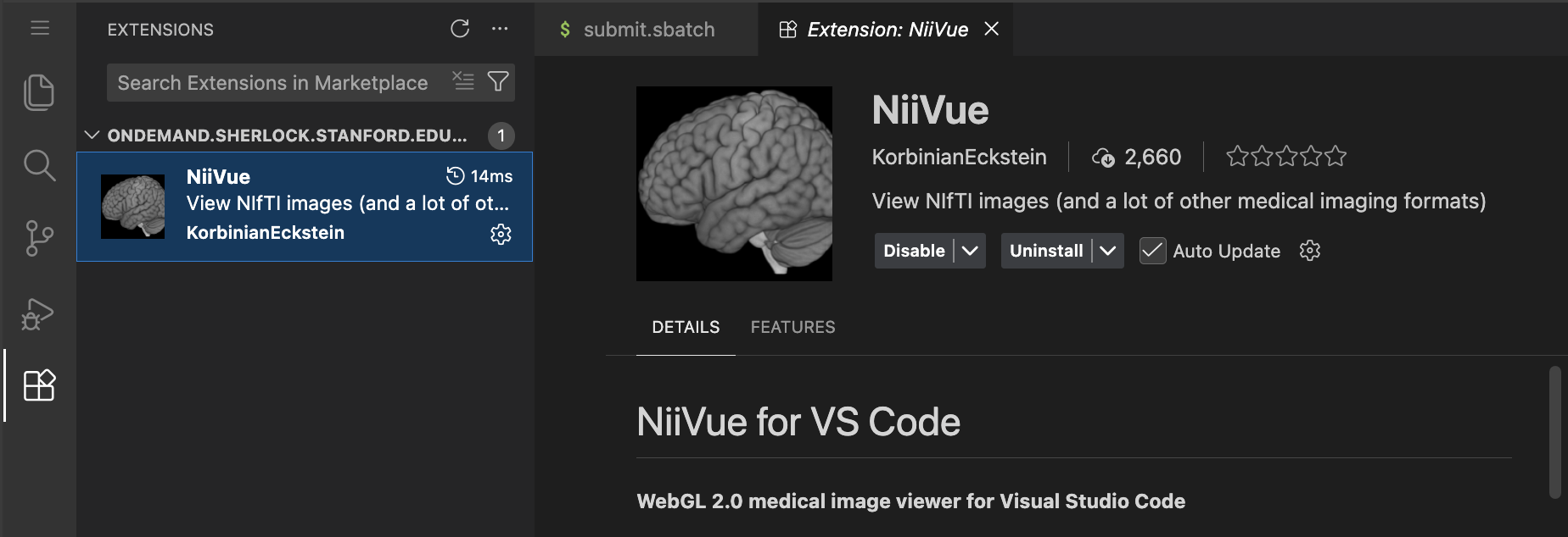 niivue vscode screenshot